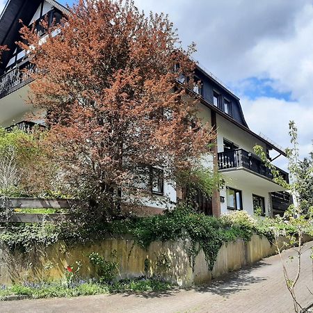 Ferienwohnung Bergblick ハレンベルク エクステリア 写真