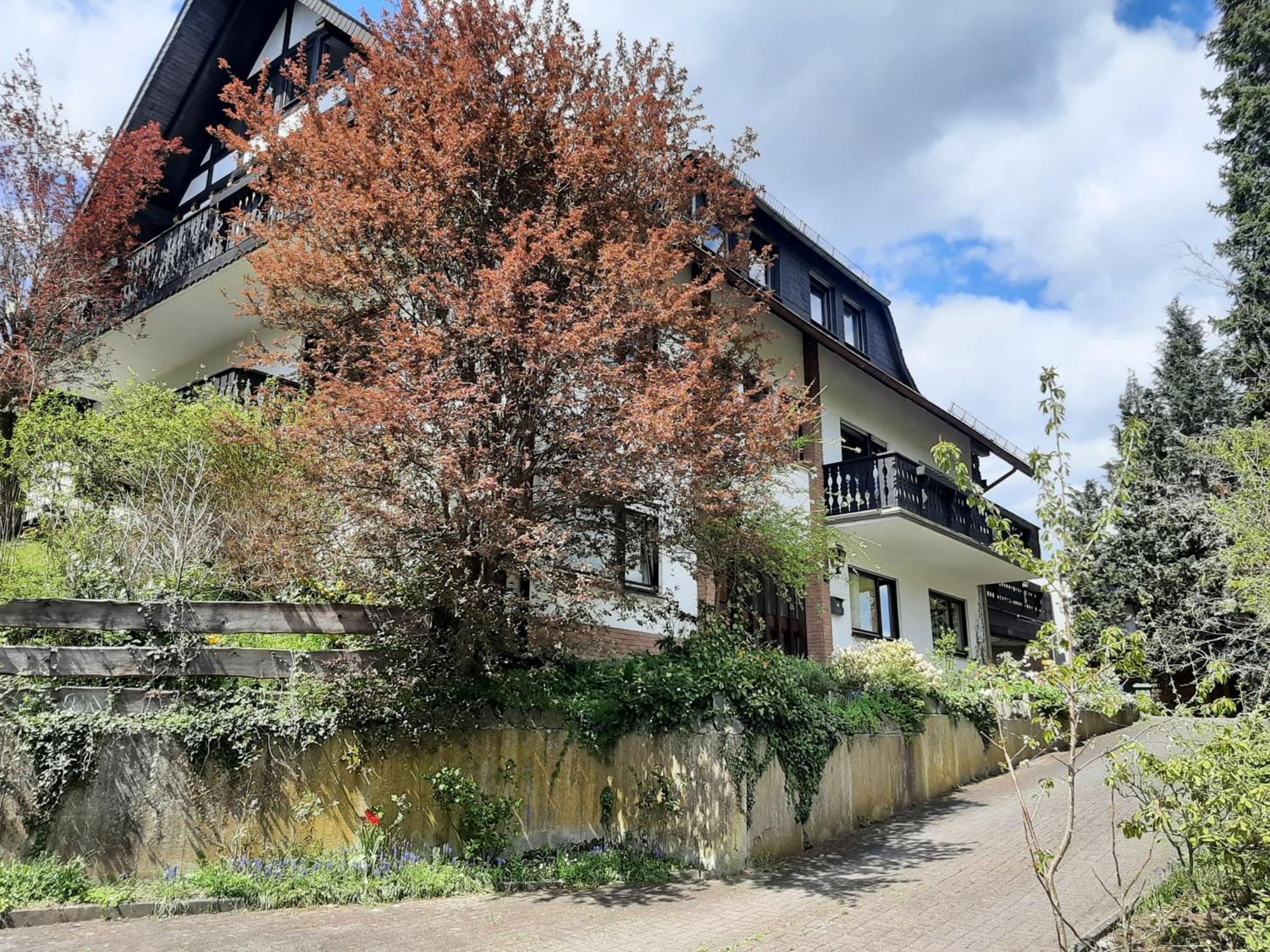 Ferienwohnung Bergblick ハレンベルク エクステリア 写真